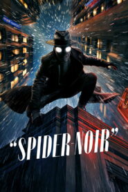 Spider-Noir: Season 1